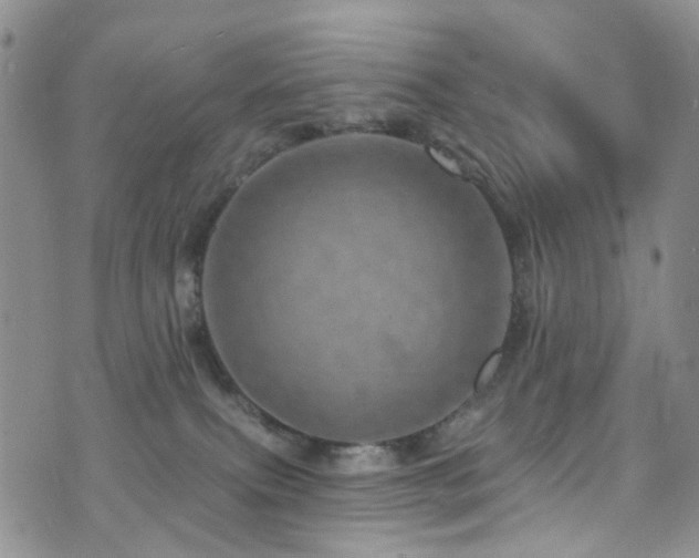 X0000073730087200608031340