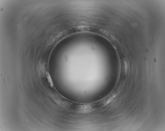 X0000073730088200608031340