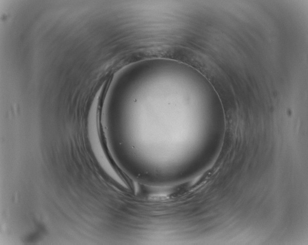 X0000073730089200608031340