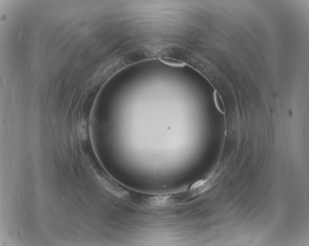 X0000073730090200608031340