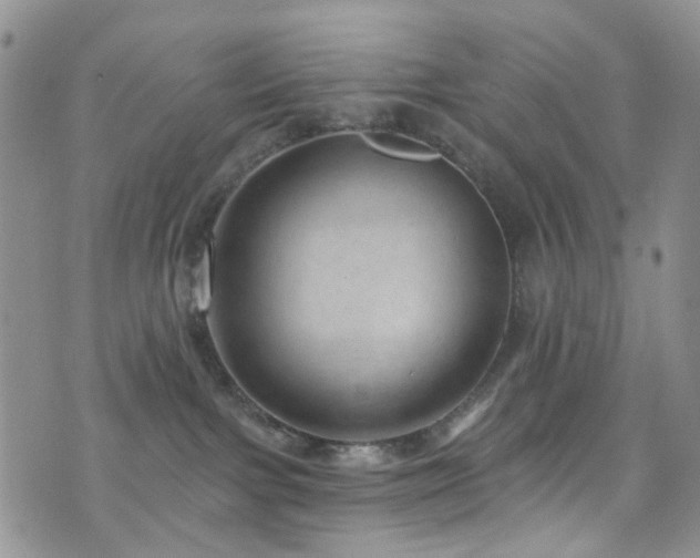 X0000073730091200608031340