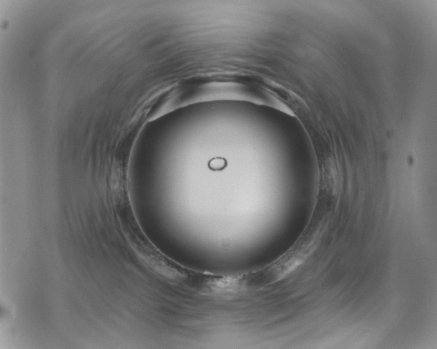 X0000073730092200608031340