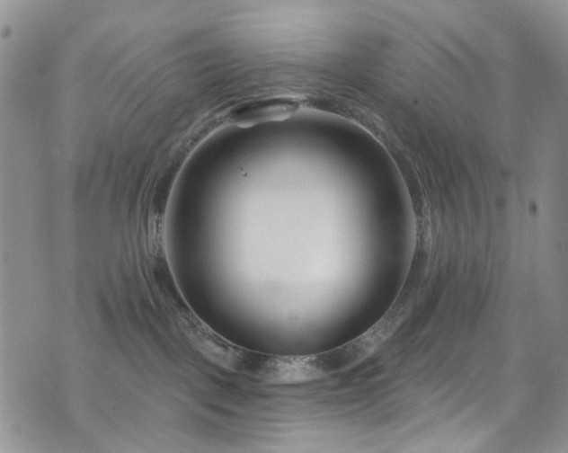 X0000073730093200608031340