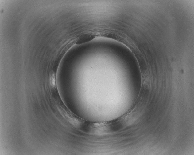 X0000073730095200608031340