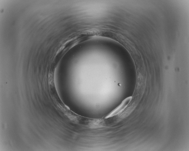 X0000073730096200608031340