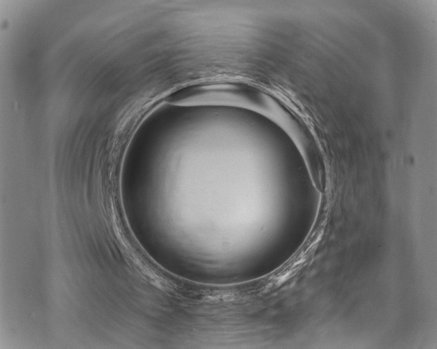 X0000073730097200608031340