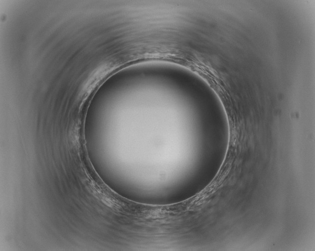 X0000073730098200608031339