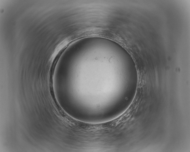 X0000073730099200608031339