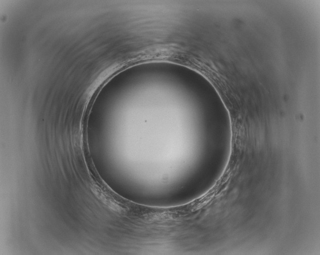 X0000073730100200608031339