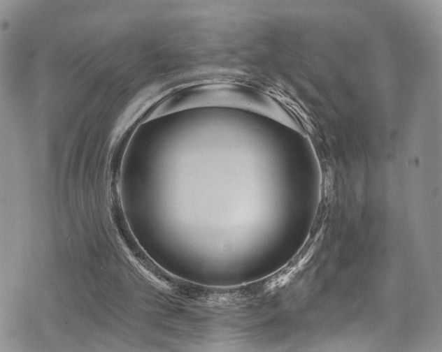 X0000073730101200608031339