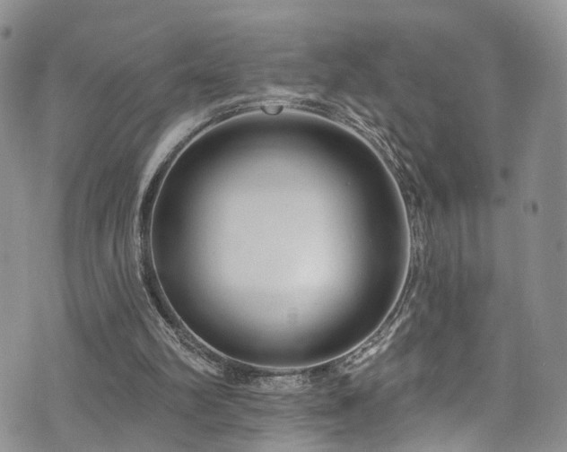 X0000073730102200608031339