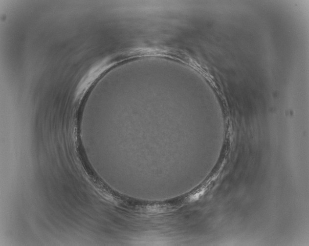 X0000073730103200608031339