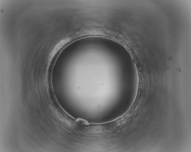 X0000073730104200608031339