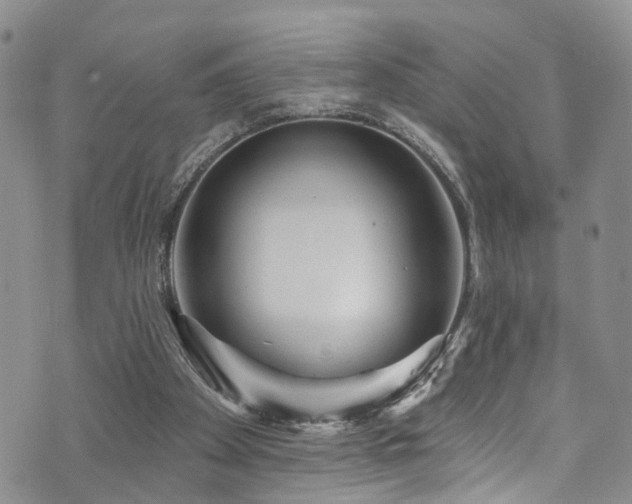 X0000073730105200608031339