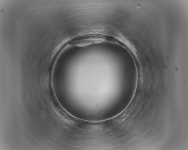 X0000073730107200608031339