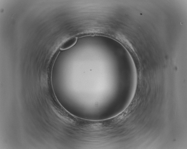 X0000073730108200608031339