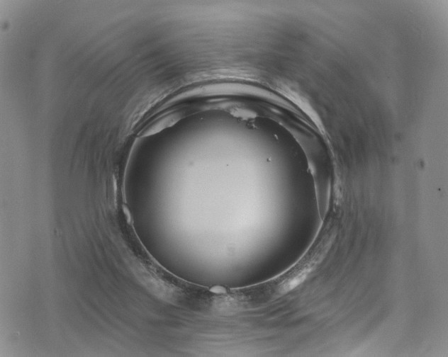 X0000073730109200608031339