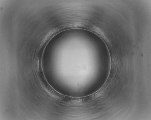 X0000073730110200608031339