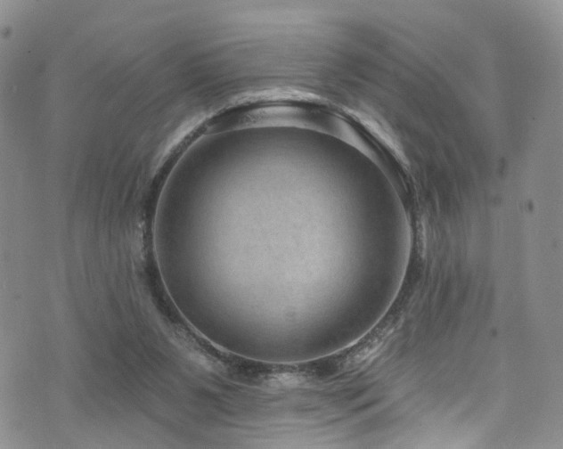 X0000073730111200608031339