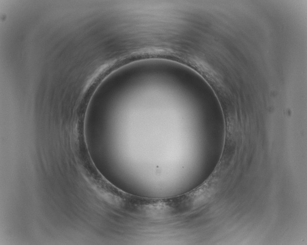 X0000073730112200608031339