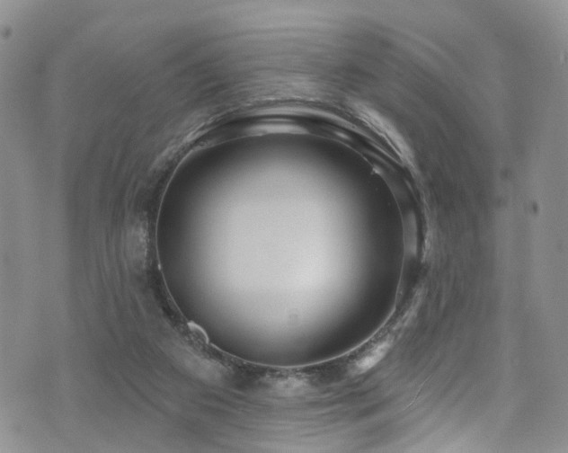 X0000073730113200608031339