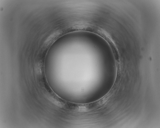 X0000073730114200608031339