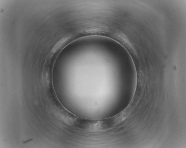 X0000073730116200608031339