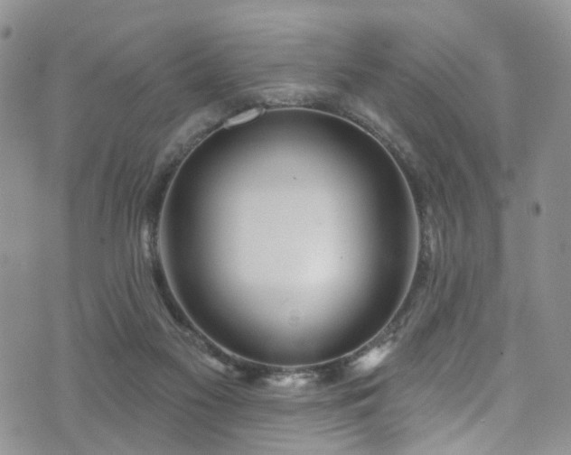 X0000073730117200608031339