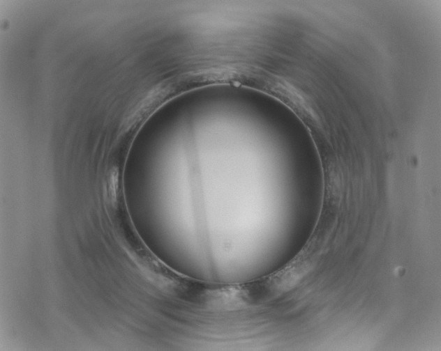 X0000073730118200608031339