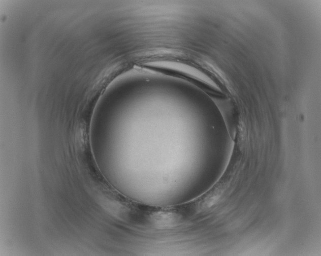 X0000073730119200608031339