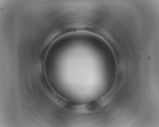 X0000073730120200608031339