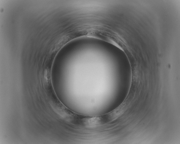 X0000073730122200608031339