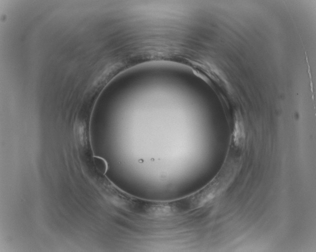 X0000073730123200608031339