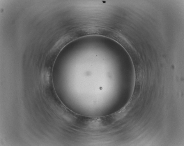 X0000073730124200608031339