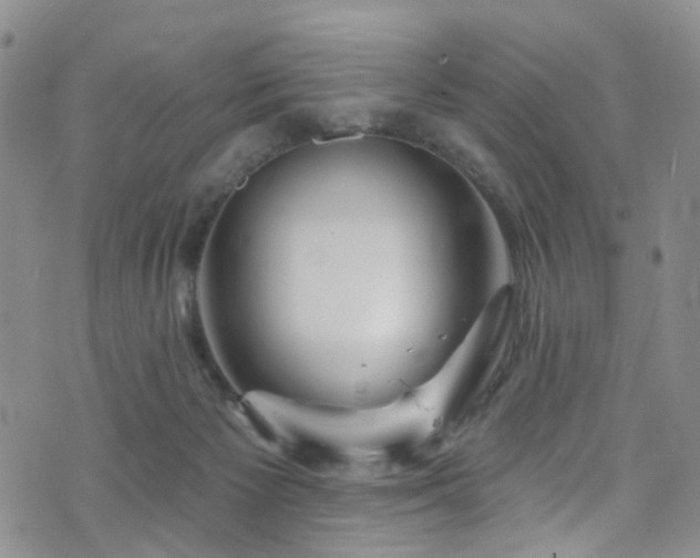 X0000073730125200608031339