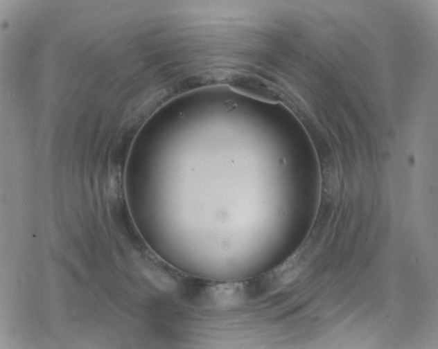 X0000073730126200608031339