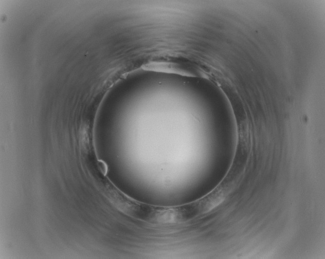 X0000073730127200608031339