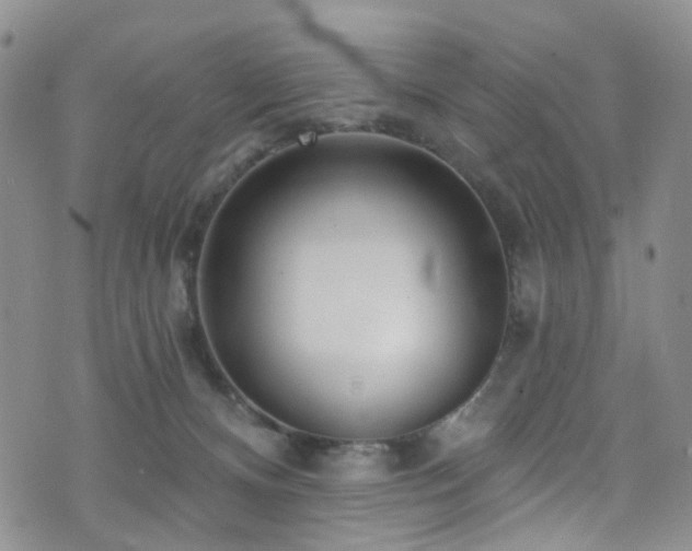 X0000073730128200608031339