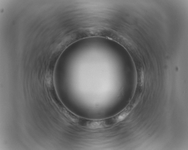 X0000073730129200608031339