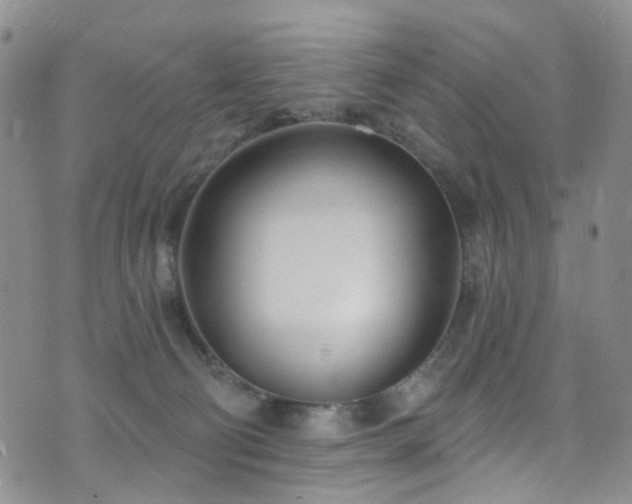 X0000073730130200608031339