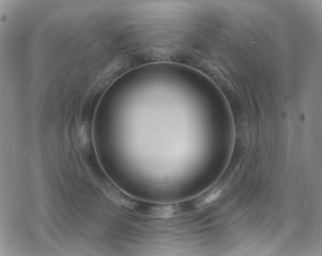 X0000073730131200608031339