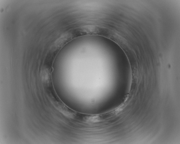 X0000073730132200608031339