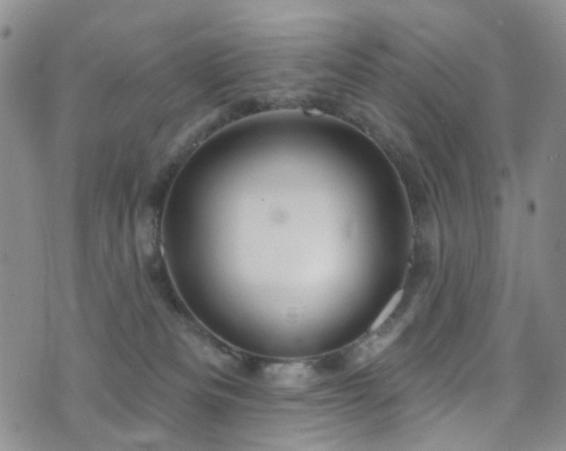 X0000073730133200608031339