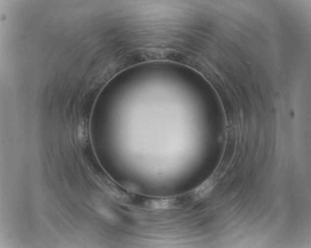 X0000073730134200608031339