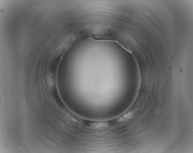 X0000073730135200608031339