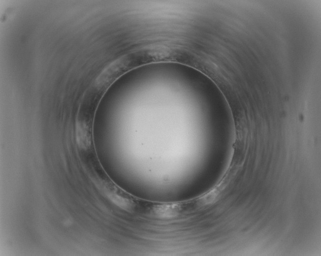 X0000073730136200608031339