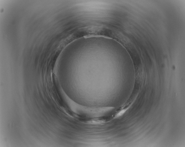 X0000073730137200608031339