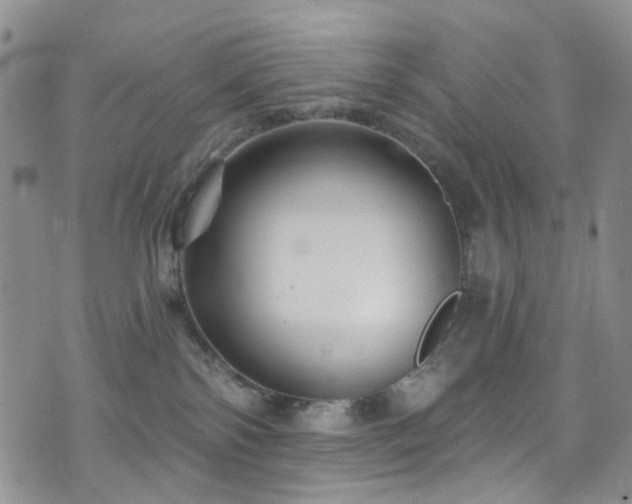 X0000073730138200608031339