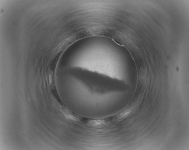 X0000073730139200608031339