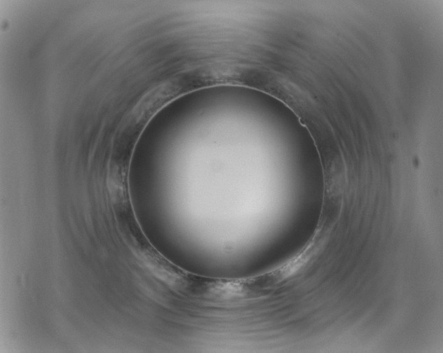 X0000073730140200608031339